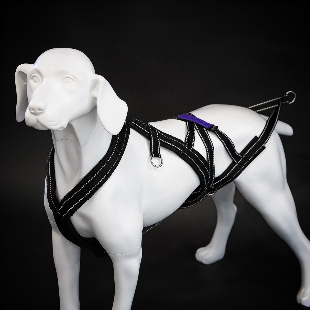 troll dogsport combi valjaat