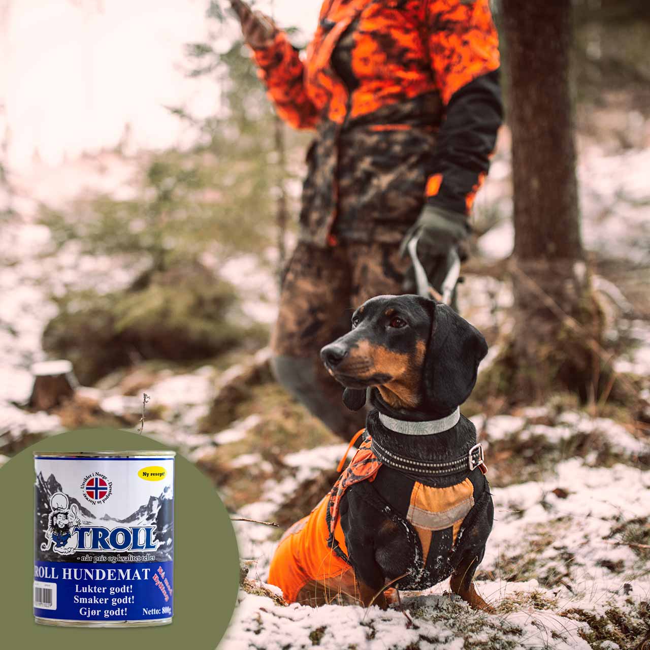 troll elite koiranruoka tölkki 800 g