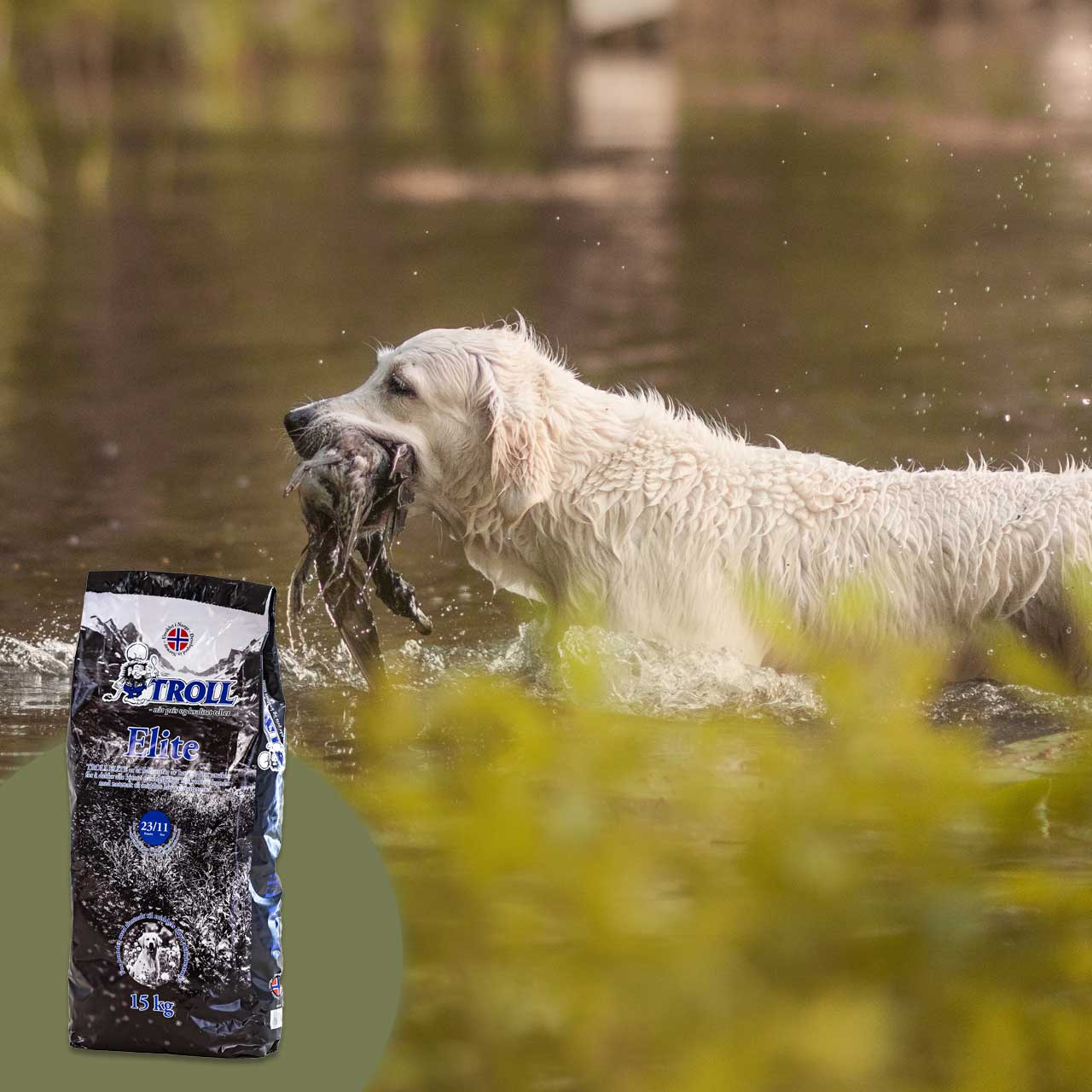 troll elite koiranruoka