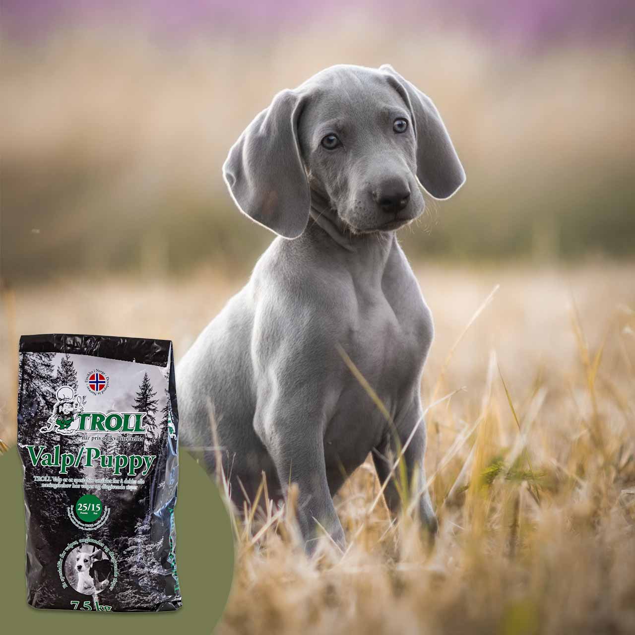 troll valp koranpennuille
