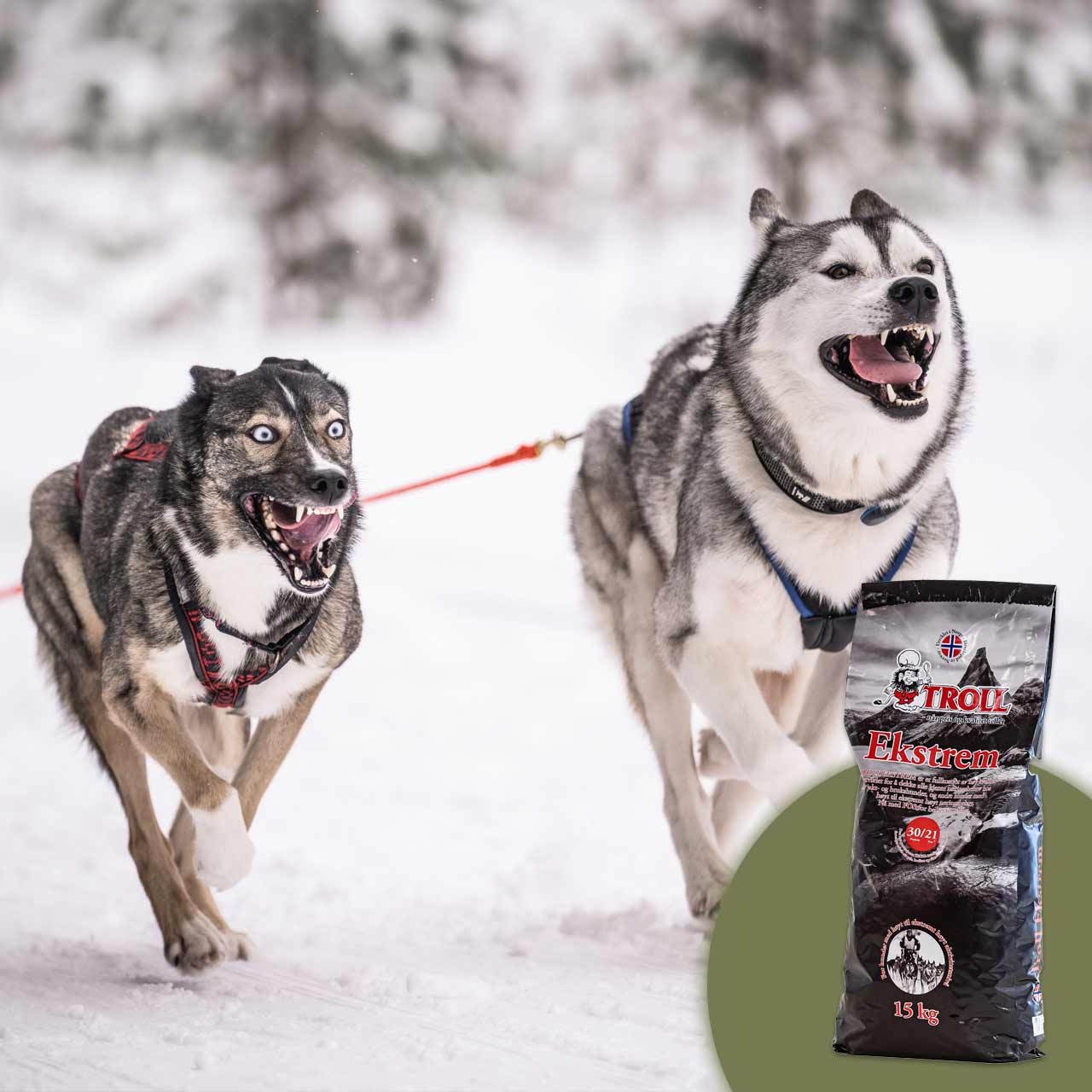 troll ekstrem koiranruoka